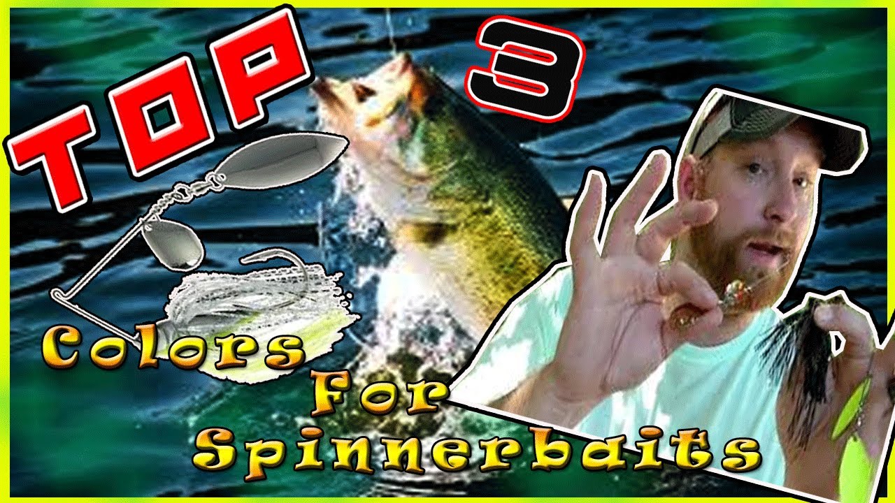 Top 3 Color Choices for Spinnerbaits.  Every Angler NEEDS!!