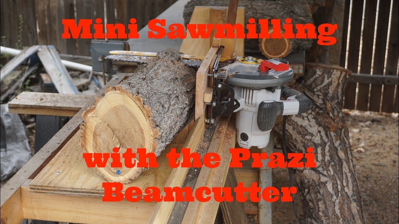 Prazi Cutting Elm on the Mini Sawmill, Littlewierdshop