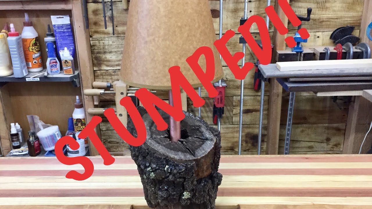 Stumped? Littlewierdshop and the Awesome Tree Stump Lamp