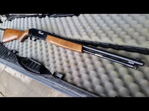 Sears and Roebuck Ted Williams Model 3T .22 Rifle