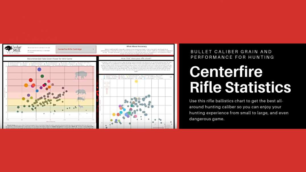 Centerfire Rifle Statistics Bullet Caliber Grain and Performance for Hunting Small to Dangerous Game