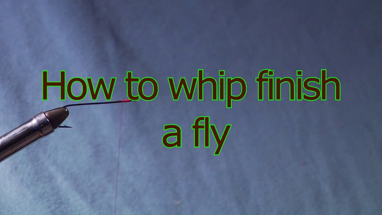 Whip Finish A Fly