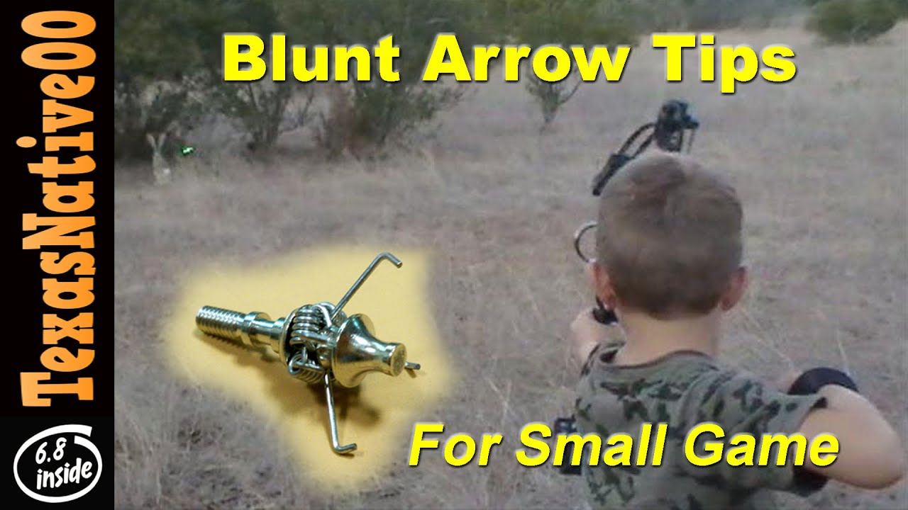 Rabbit Hunting with Blunt Arrow Tips