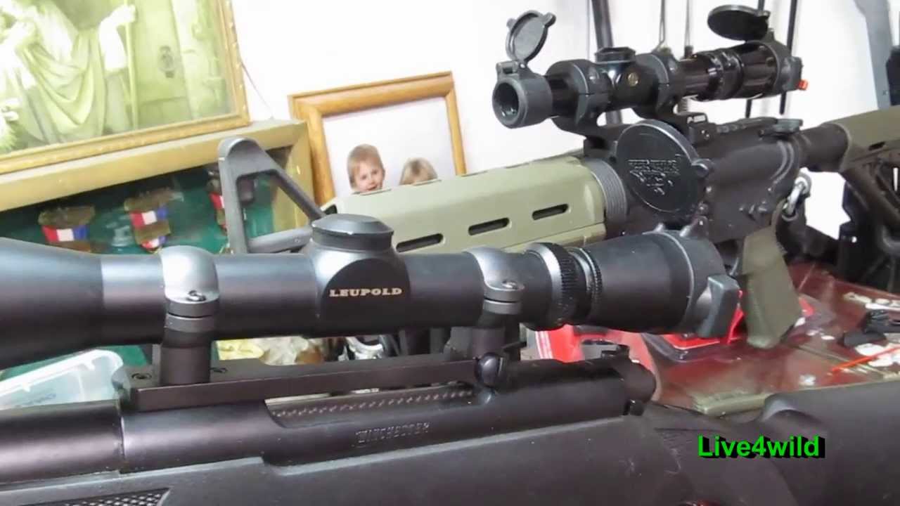 Best Scope for the money