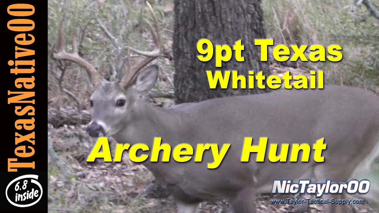 Opening Archery Deer Season 9pt