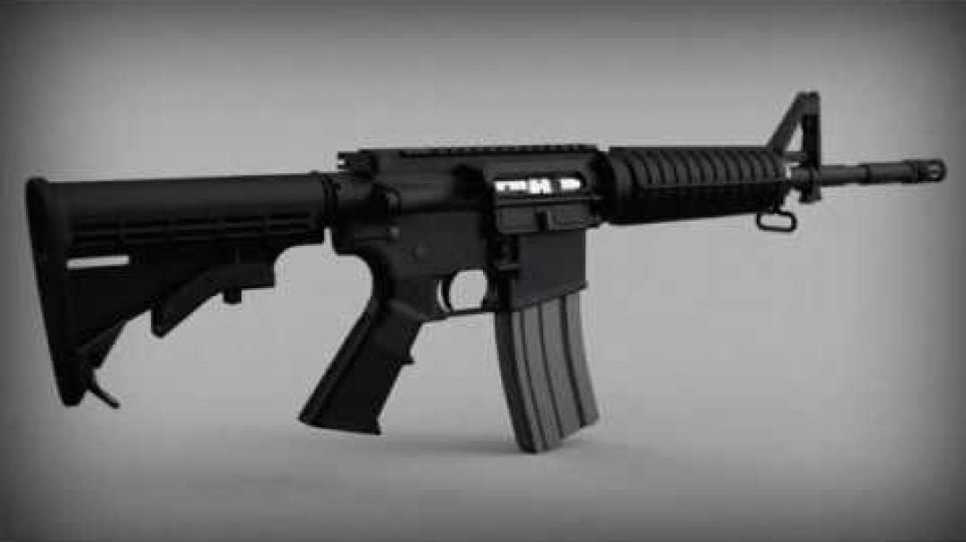 AR15 Complete Reference Model Release Trailer
