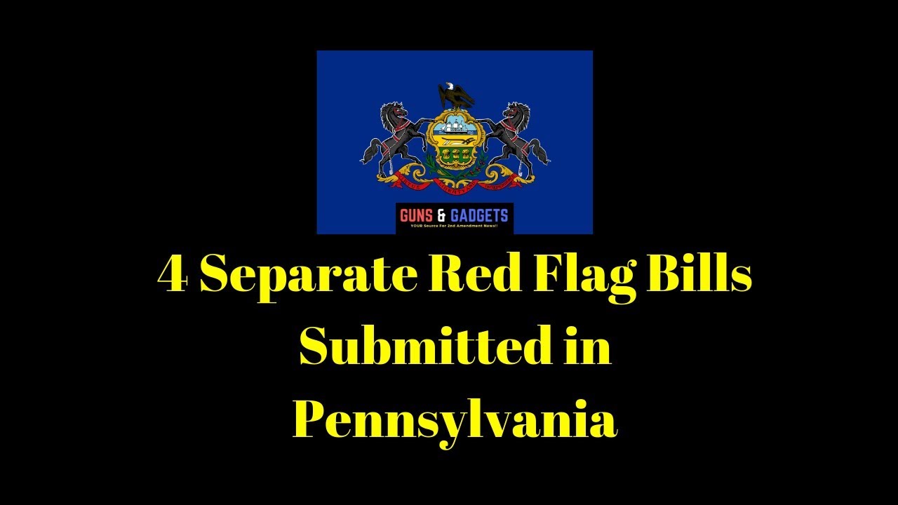 4 Separate Red Flag Bills Submitted in Pennsylvania