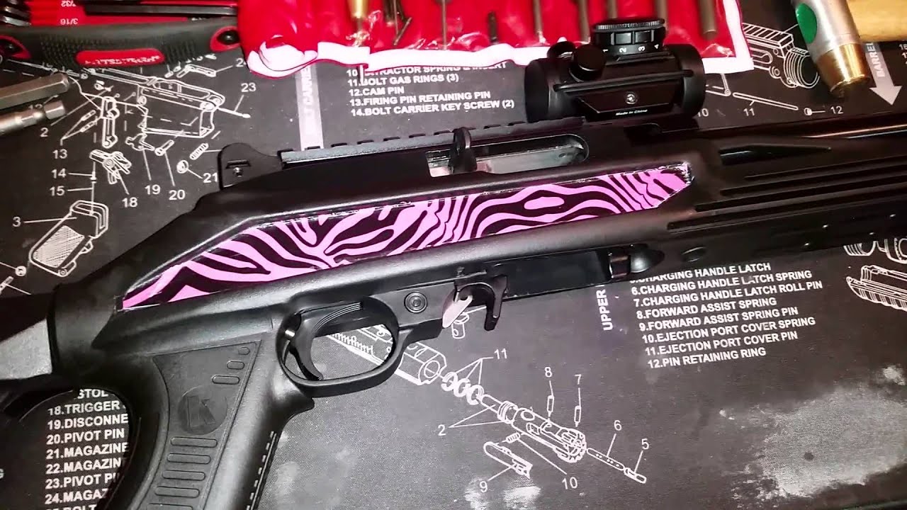 Ruger 10/22 for a Kid