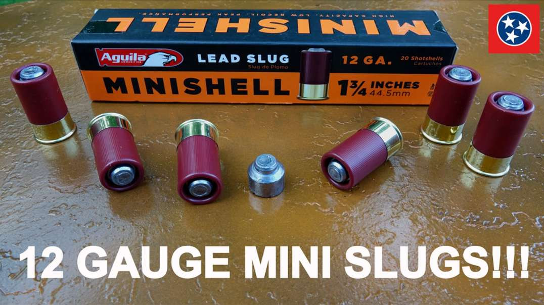 12 Gauge Aguila Mini-Slug Review