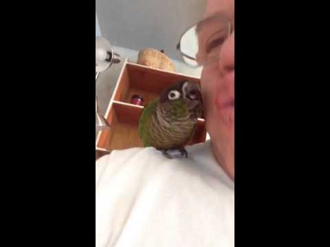 Birdy kisses