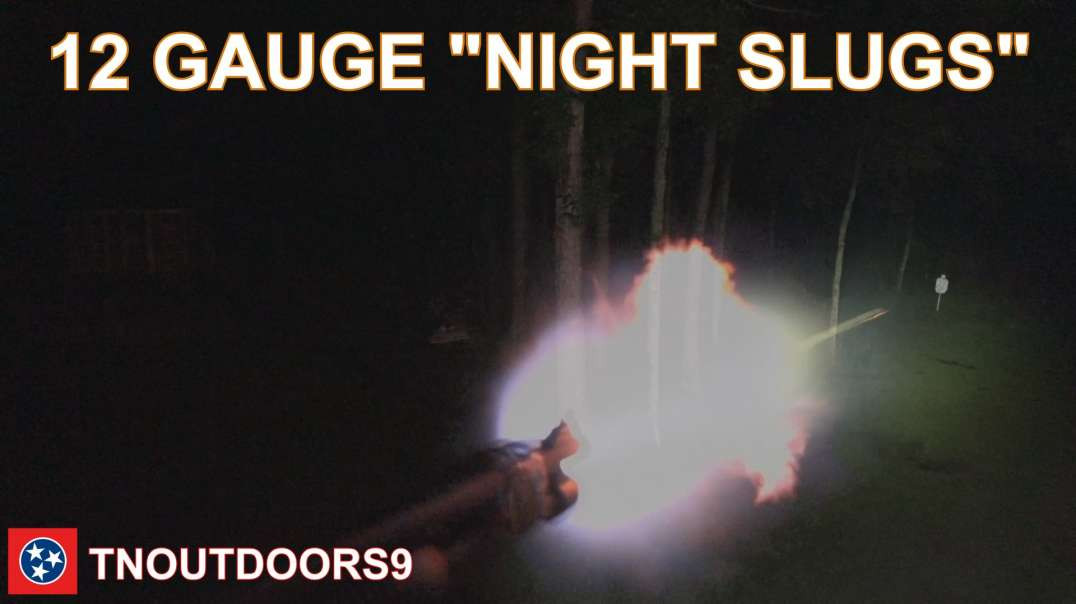 12 GAUGE NIGHT SLUGS
