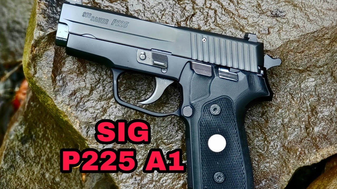 Sig Sauer P225 A1: This may not work for you.