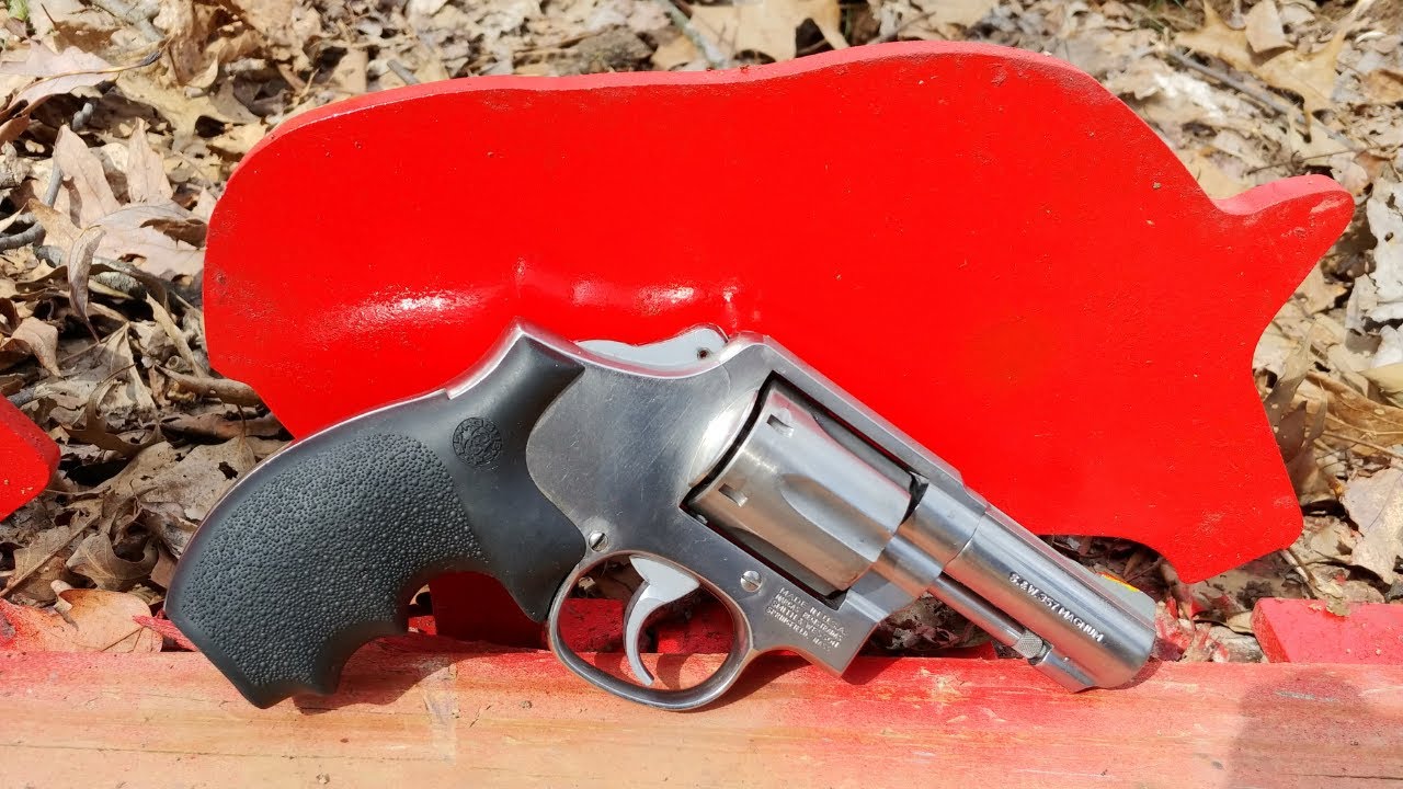 S&W Model 65 .357 Magnum Small Game Hunt