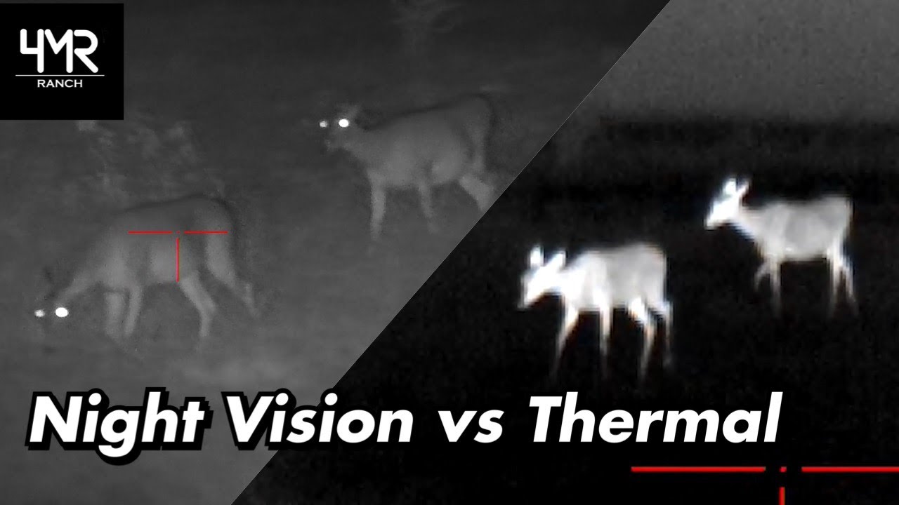 Night Vision vs Thermal | ATN