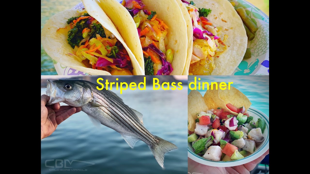 Striped Bass for dinner