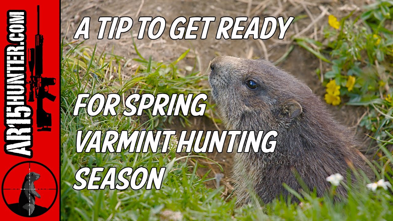 A Tip to Get Ready for Spring Varmint Hunting Season