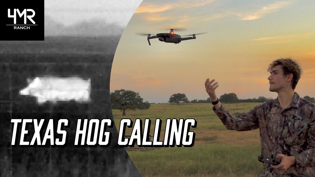 Calling in Wild Hogs! | Ep. 2