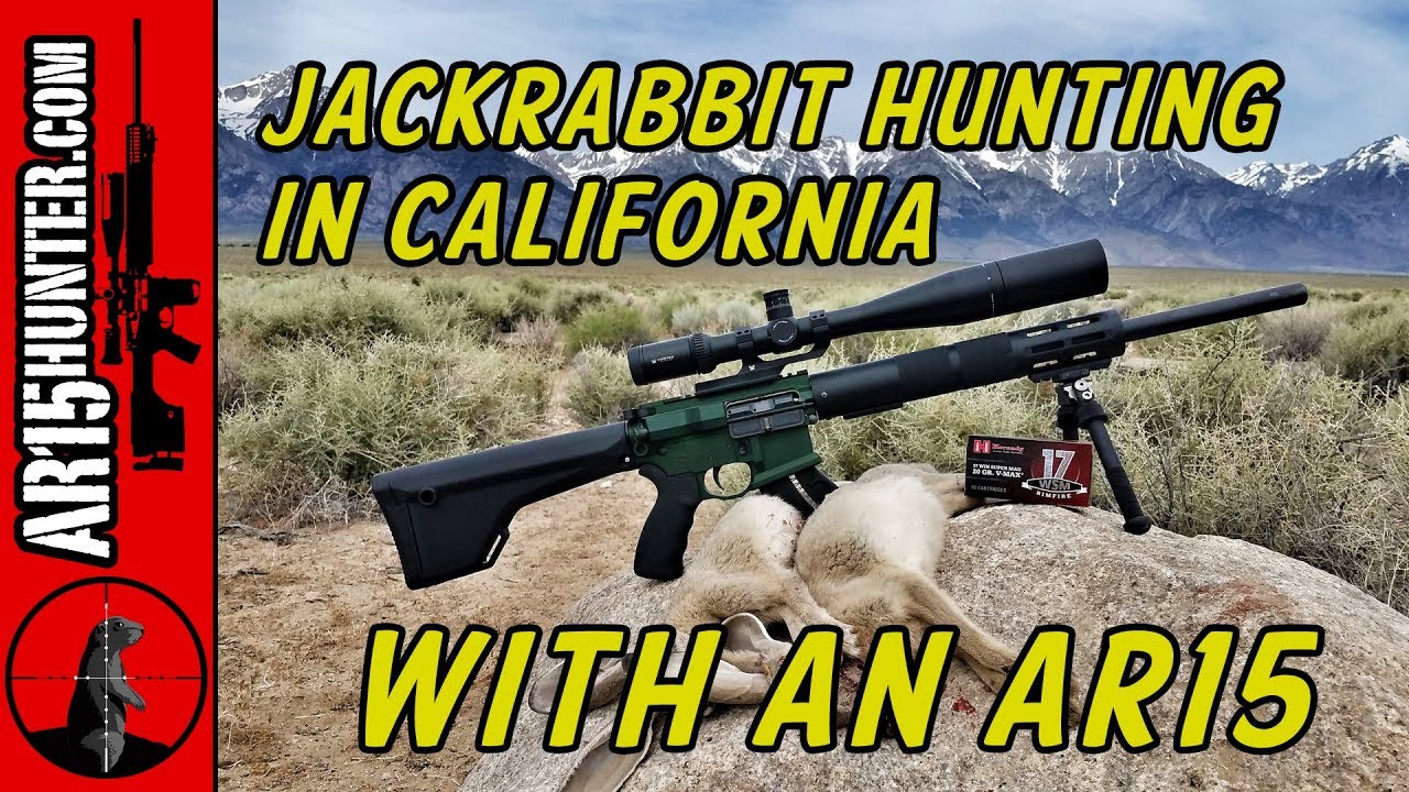 Jackrabbit Hunting in California with an AR15