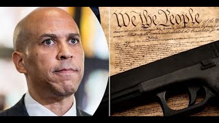 New Federal Gun Permit Bill: Red Flag, Registration, and MORE!!
