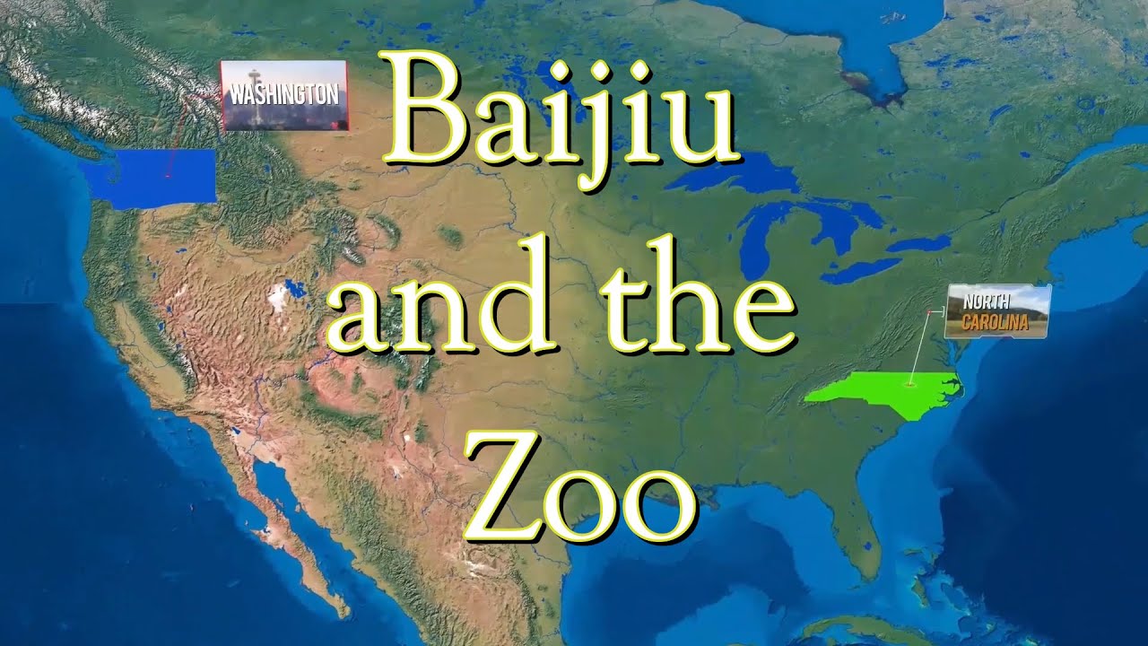 Baijiu and the Zoo