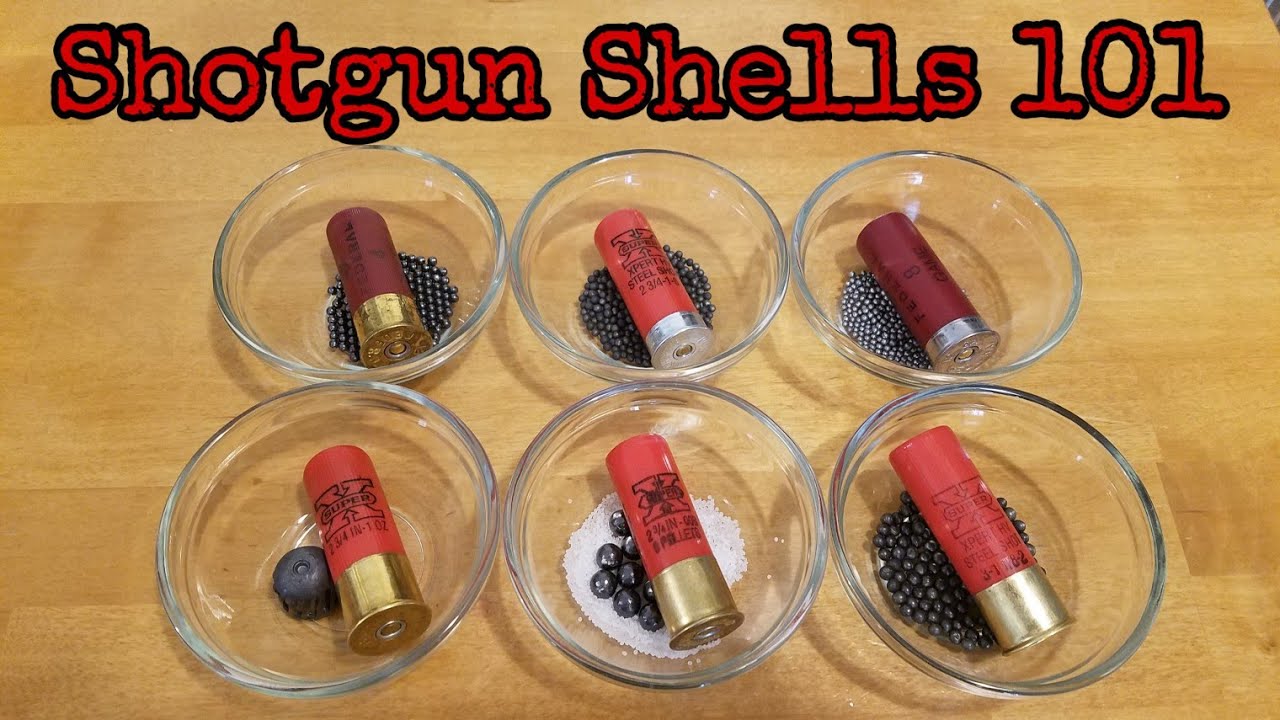 Shotgun Shells 101