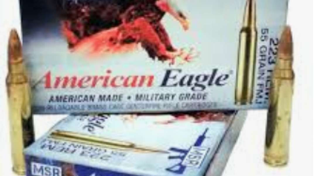 .223 Remington 55gr FMJ American Eagle