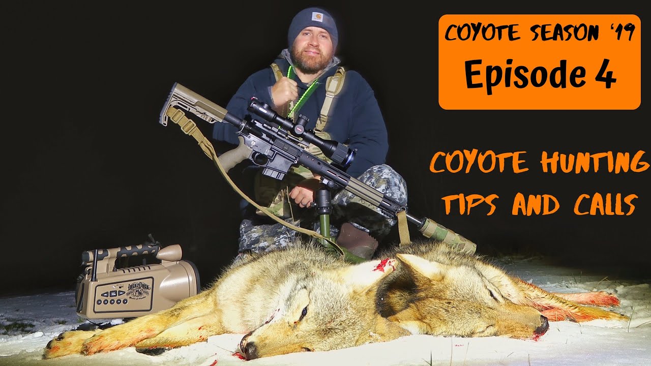 Pulsar Thermion Takes Down 2 Coyotes!! Coyote Hunting Tips and Call Sequences