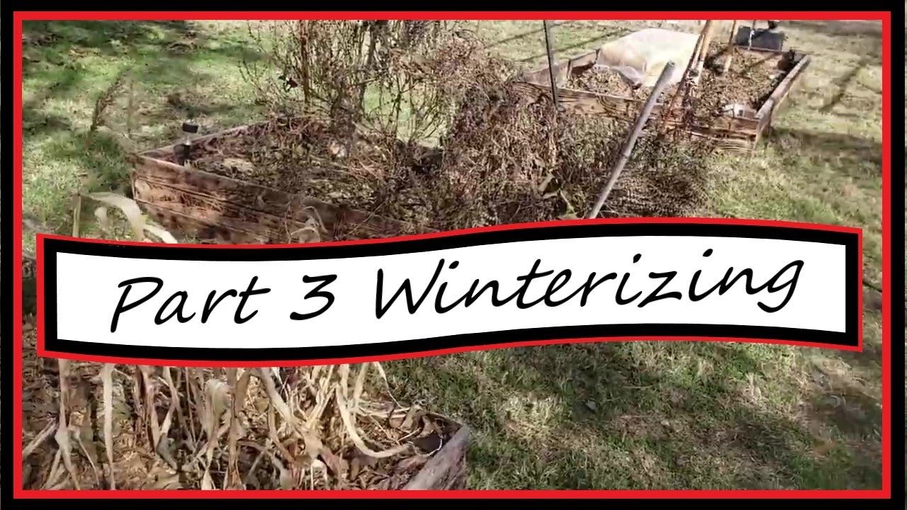 Winterizing Part 3 | The Good The Bad The Ugly