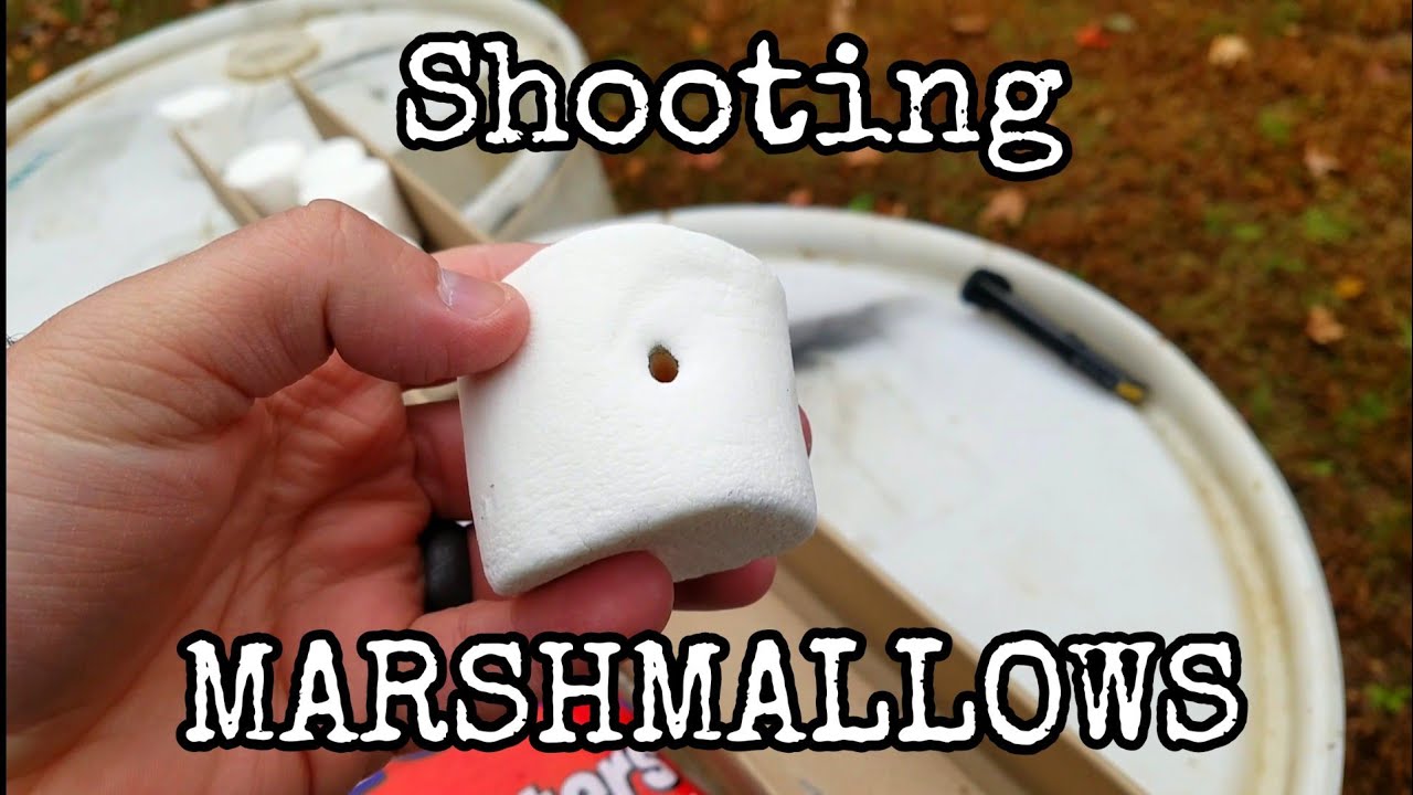 Yup...Shooting Marshmallows: .40S&W, 9mm, .22Mag, and .22LR