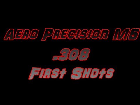 Aero Precision M5 308 Winchester First Shots