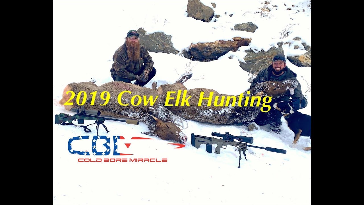 2019 Elk Hunt