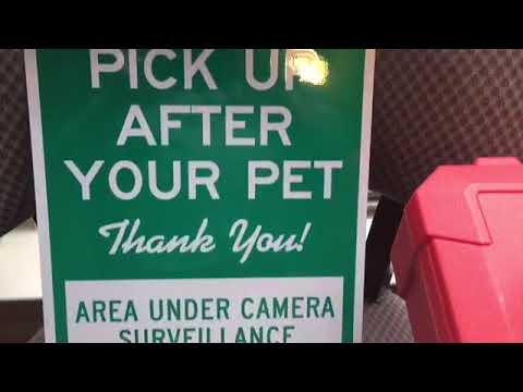 Dog Poop and Home Security Rant NSFW
