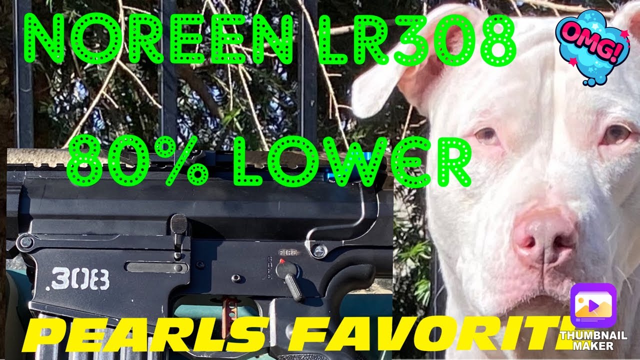 Noreen LR308 80% Billet Lower Receiver. Dog Approved!