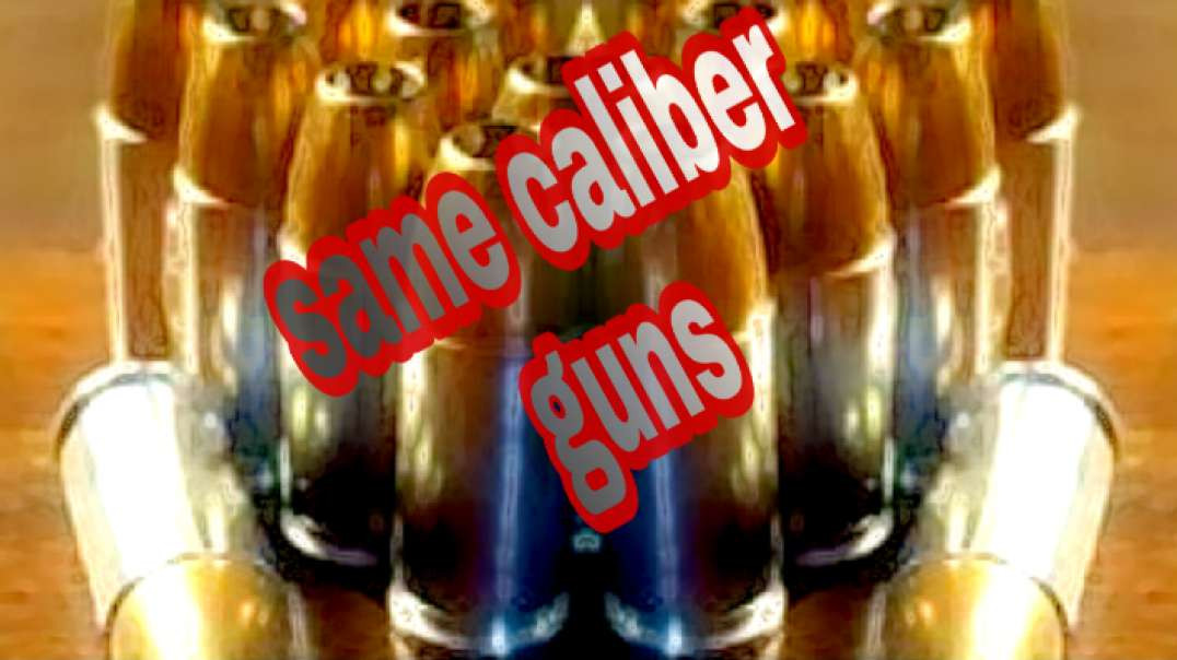 Same Caliber Guns