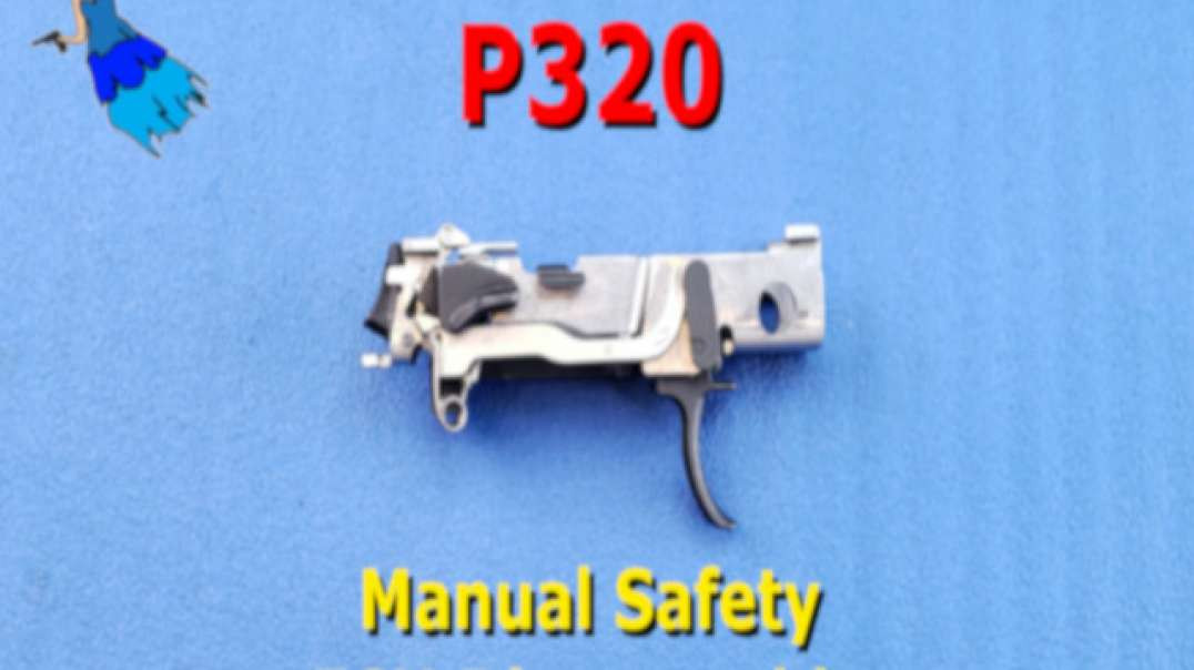 P320 Manual Safety FCU disassembly