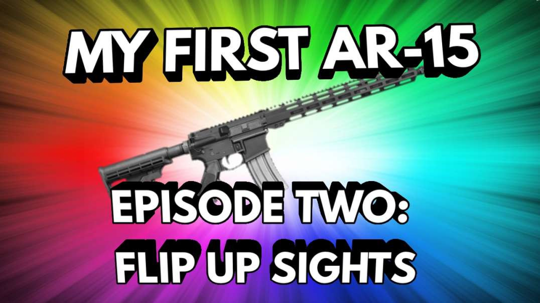 My First AR-15 | Episode Two: Flip Up Sights
