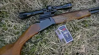 Baikal MP-94 Sever with CCI .22 Magnum Ammo