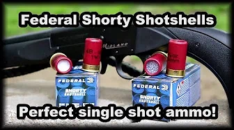 Federal Shorty Shells Perfect single shot ammo