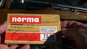 Norma 7.5x55 Ammo Test