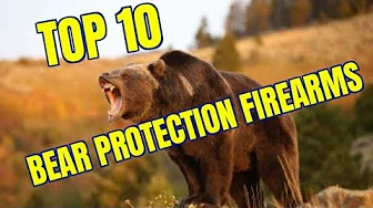 TOP TEN BEAR DEFENSE FIREARMS