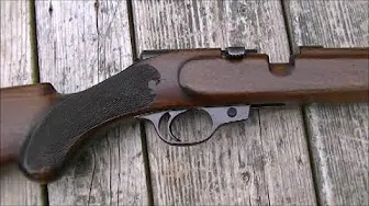 Mystery German? .22 Rifle