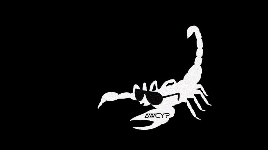 awcyarms scorpion preview