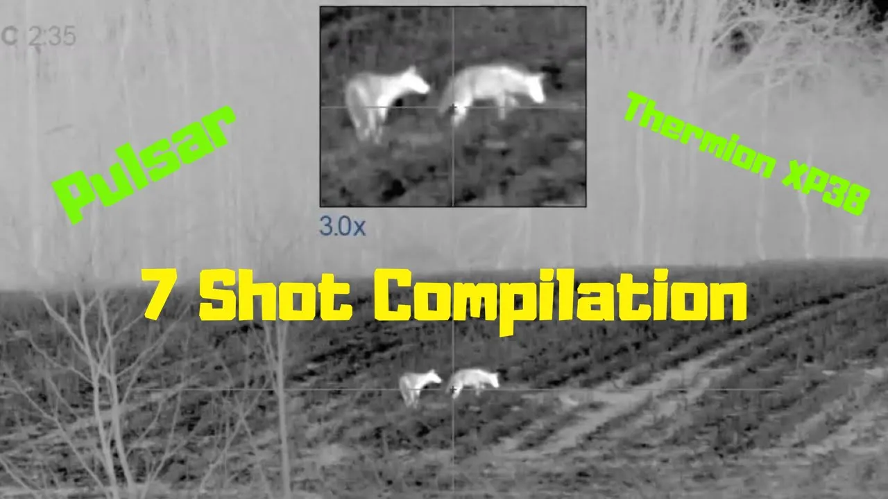 BEST THERMAL SCOPE FOR COYOTE HUNTING | 7 COYOTES with 6.5 Grendel