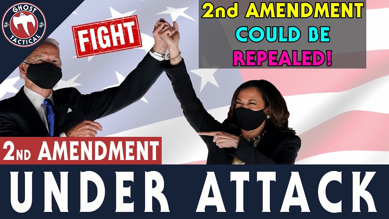 BREAKING NEWS l 2ND AMENDMENT COULD BE REPEALED l What Can You Do To Fight?